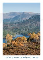 Cairngorms National Park, Highlands 1 Magnet