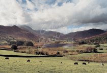 Little Langdale Tarn & Tilberthwaite Fells, Lake District Postcard
