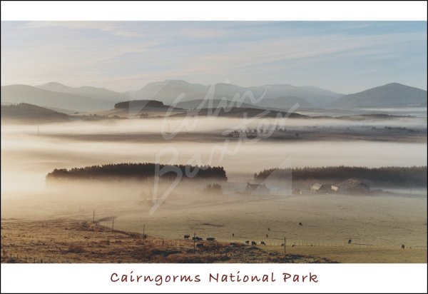 Cairngorms, Cairngorms National Park Postcard