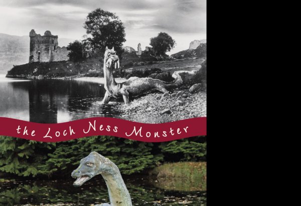 Loch Ness Monster Drumnadrochit Postcard