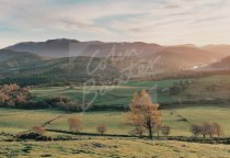 Lochnagar & Balmoral Castle, Royal Deeside Postcard (H Std CB)