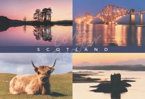 Scotland Comp Postcard 2