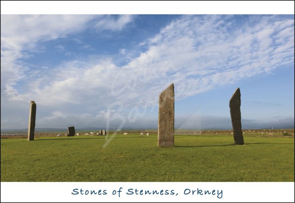 Stones of Stenness, Orkney Postcard