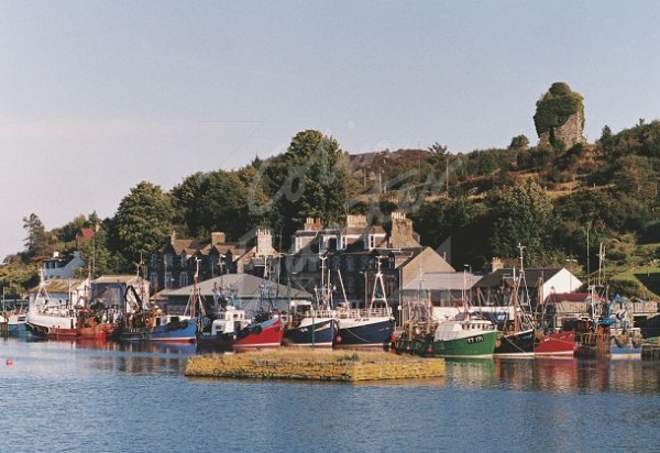 Tarbert Harbour & Castle, Argyll Postcard