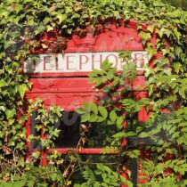 Old Telephone Box, Perthshire Greetings Card