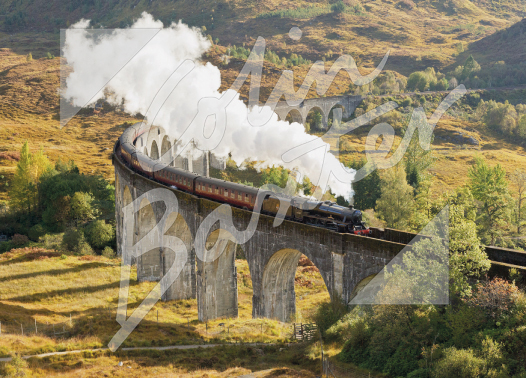 Glenfinnan Viaduct Magnet
